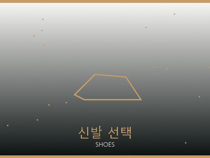 에륩스 레플 사이트 신발 선택 가이드